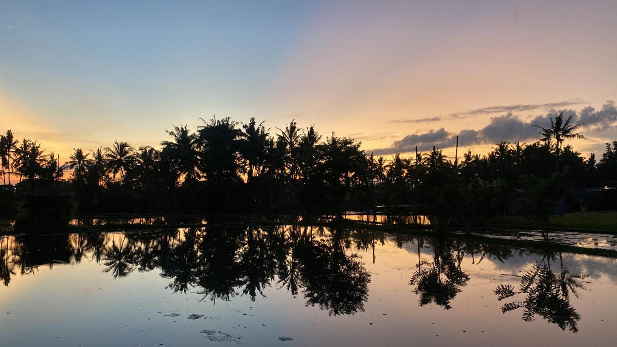 Villa Mon Reve أوبود المظهر الخارجي الصورة